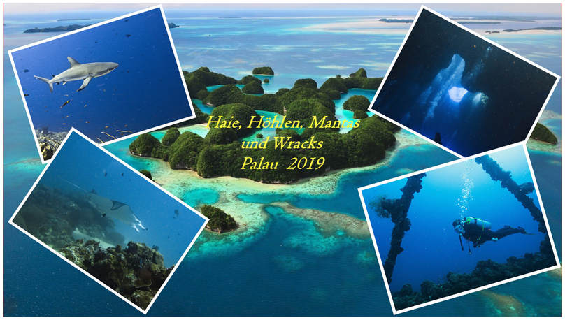 Palau 2019 800