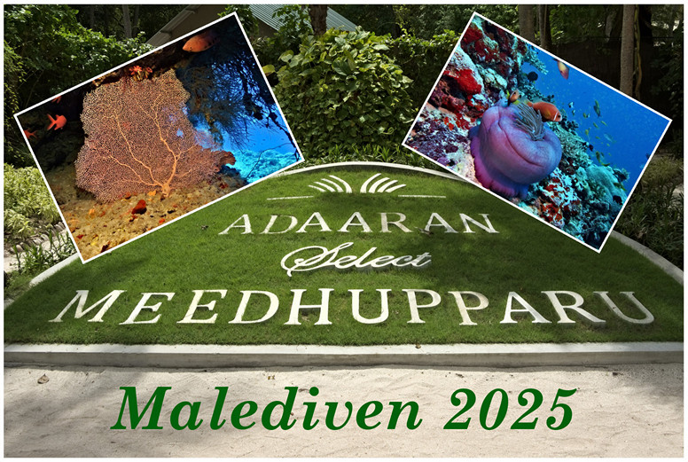 2025-06 Meedhupparo_