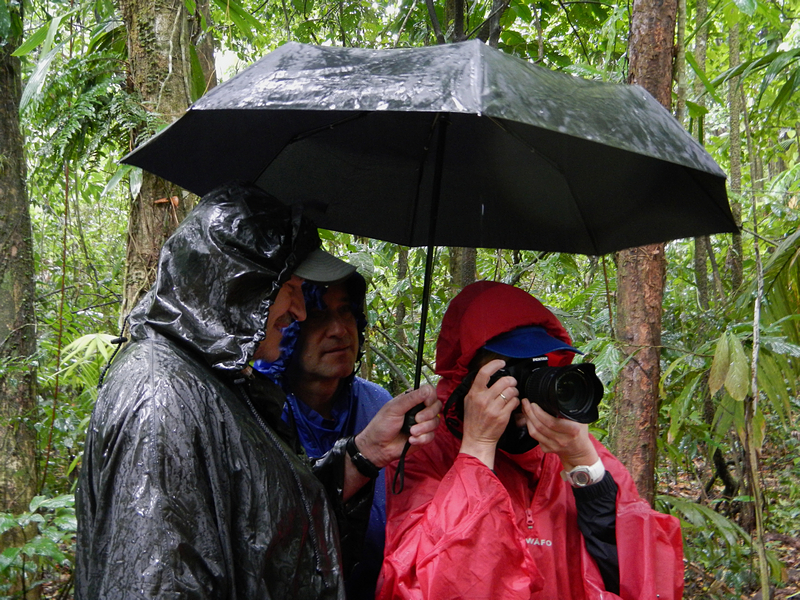 im Nationalpark Arenal im Nationalpark Arenal