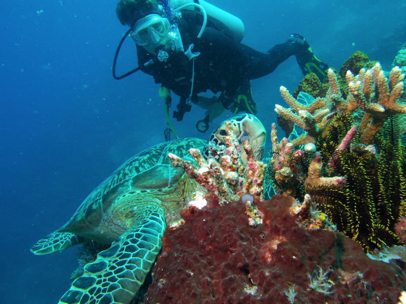 Moni und Scildkröte Moni und Scildkröte