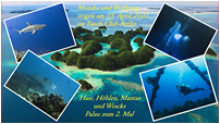Icon Palau 2019_00-00-05-184