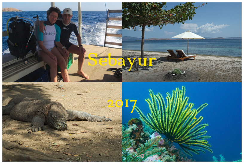 Sebayur 2017_rand