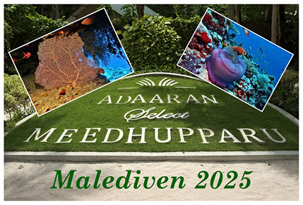 2025-06 Meedhupparo_icon