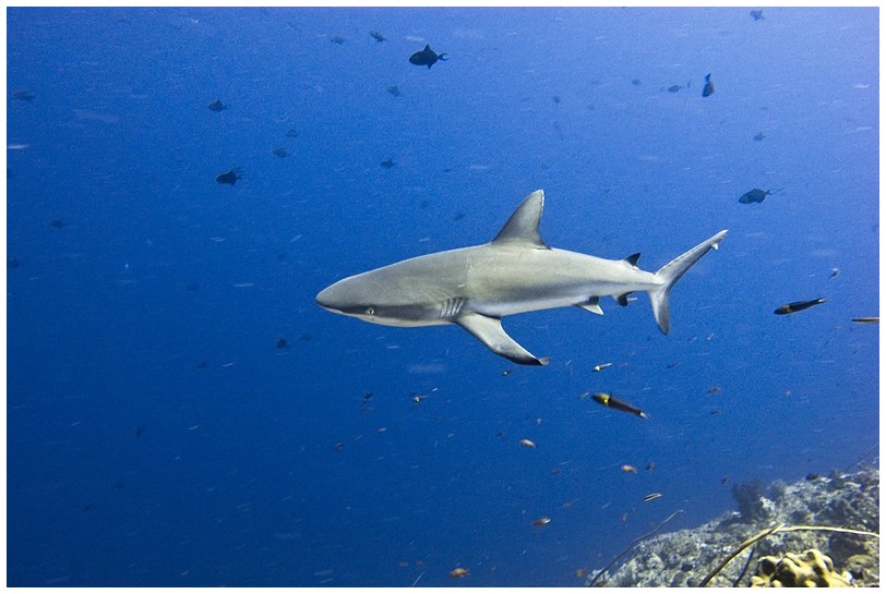 BC IMG_3574 BC IMG_3574