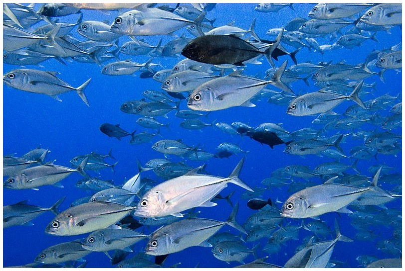 BC IMG_4124 BC IMG_4124