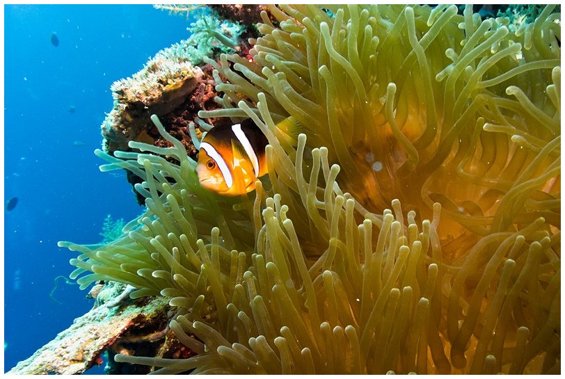 Riff IMG_3741 Riff IMG_3741