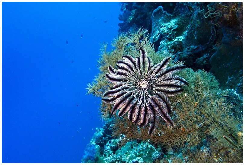 Riff IMG_3957 Riff IMG_3957