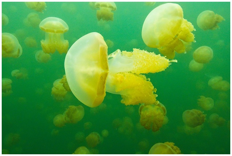 YFL IMG_3888 YFL IMG_3888