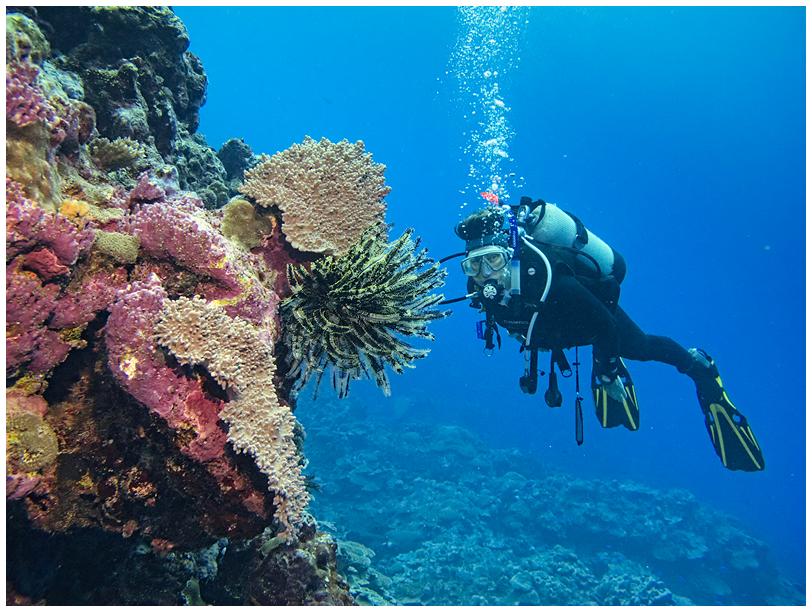 Am Außenriff Am Außenriff