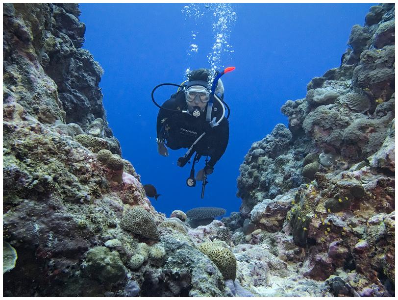 Unterwassercanyon Unterwassercanyon